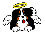 Dog Angel