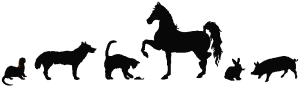 Pets Line