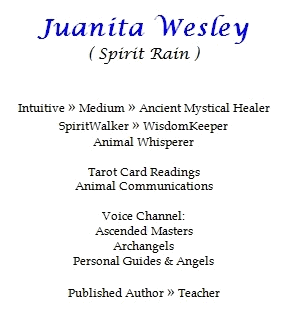 imageedit_1_5329144906